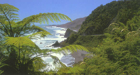 Photo Of The West Coast
